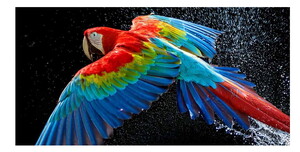  LG OLED55C54LA 4K Ultra HD 55' 140 Ekran Uydu Alıcılı webOS Smart OLED Evo TV