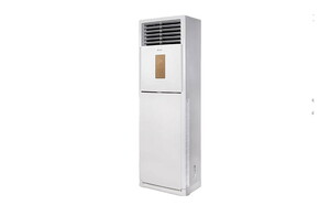 Daylux DVA125A 41000 BTU Salon Tipi Klima