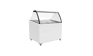 Uğur UDR 10 SCE R22 Dondurma Reyonu